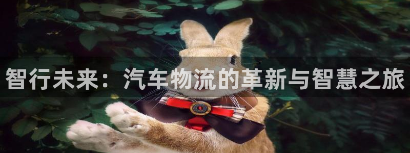 28圈注册送：智行未来：汽车物流的革