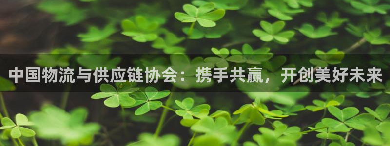 28圈如何看计划：中国物流与供应链协