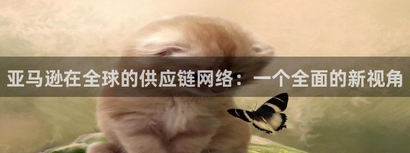 28圈登录网：亚马逊在全球的供应链网
