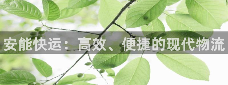 28圈怎么注册下载：安能快运：高效、