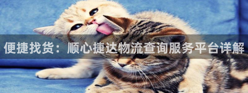 28圈.ccmpc29官网版下载：便