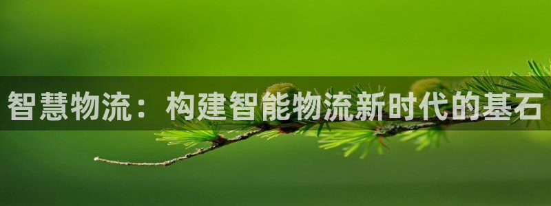 28圈cn：智慧物流：构建智能物流新