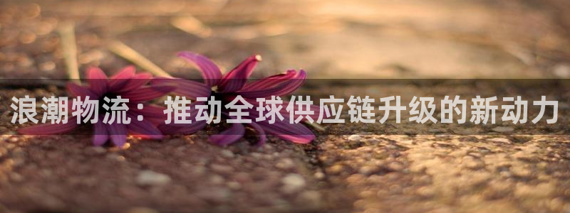 28圈为什么没有赢过一次