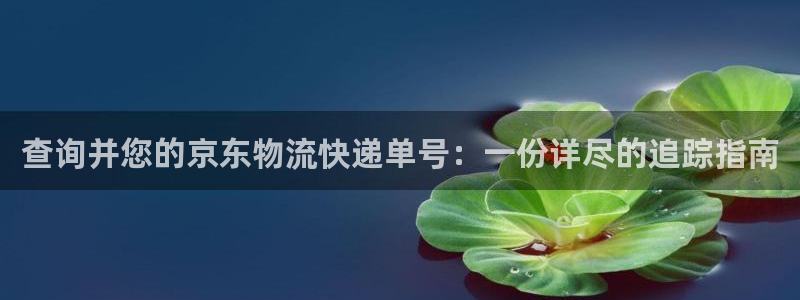 28圈充值不处理怎么办