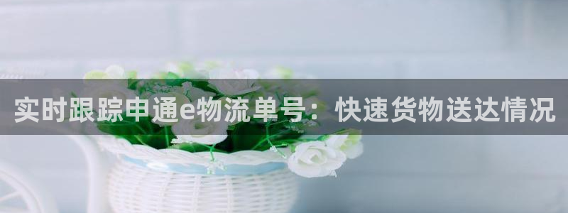 28圈加拿大最新版：实时跟踪申通e物