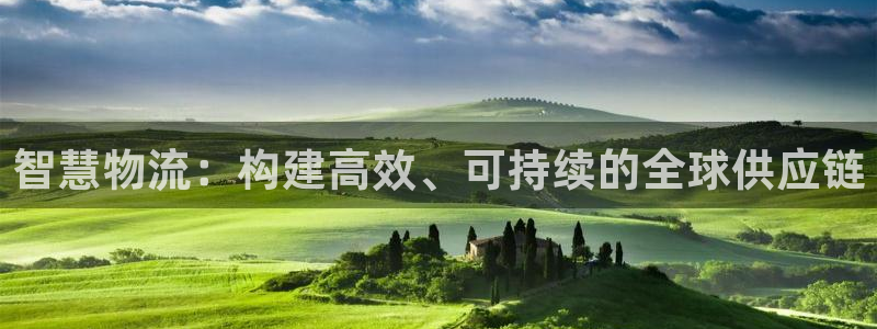 28圈怎么注册下载：智慧物流：构建高效、可持续的全球供应链