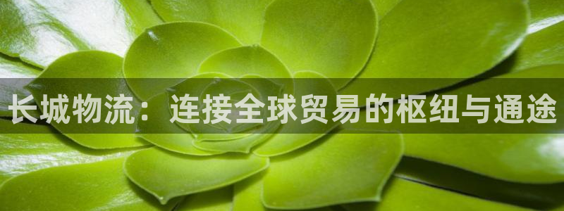 28圈充值方式