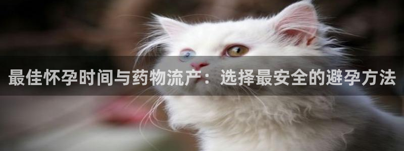 28圈里的财神