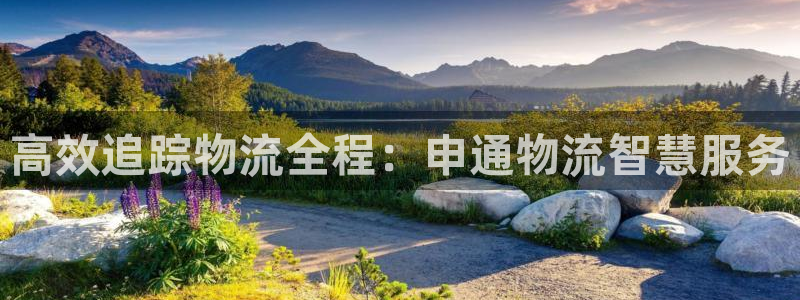 28圈比特28真实吗：高效追踪物流全程：申通物流智慧服务