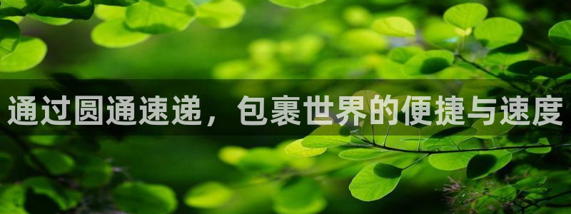 28圈预测网