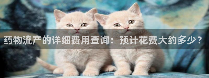 28圈取保