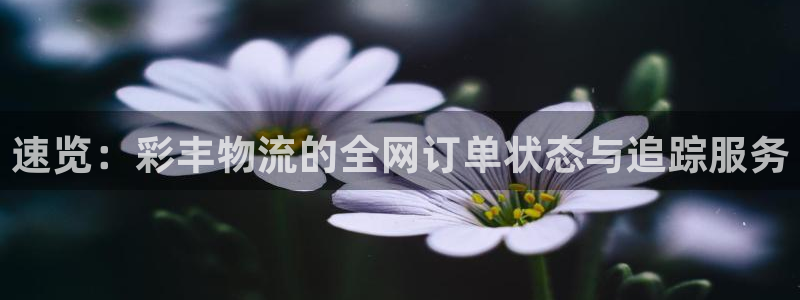 28圈加拿大pc预测