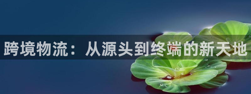 28圈怎么下载教程