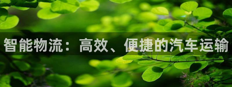 28圈不给提现