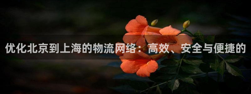 28圈链接来一个：优化北京到上海的物流网络：高效、安全与便捷