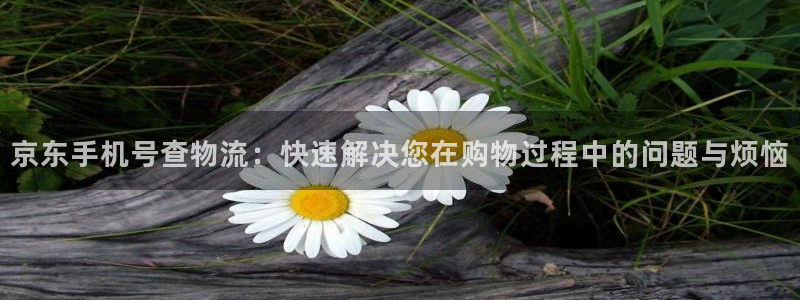 28圈口戒指是多大