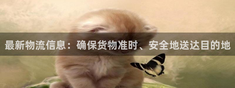 28圈起来的符号