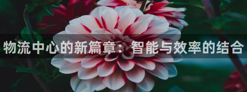 28圈娱乐官网网页下载：物流中心的新