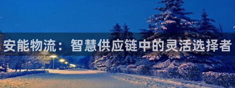 28圈预测：安能物流：智慧供应链中的