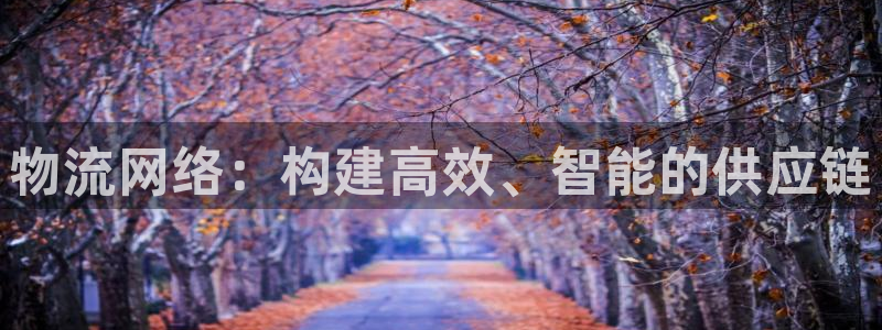 28圈娱乐官网网页：物流网络：构建高