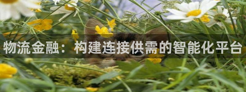 28圈机器人是什么软件