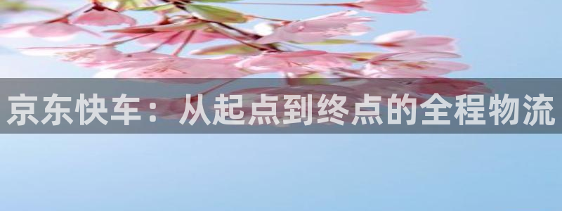 28圈加拿大技巧：京东快车：从起点到