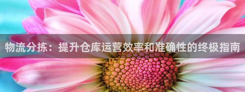 28圈自行车图片
