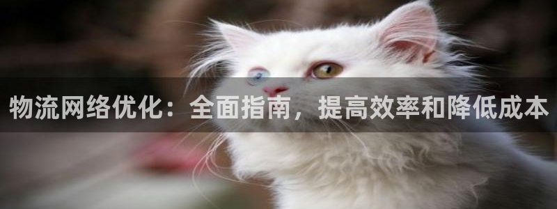 28圈官网版所有版本