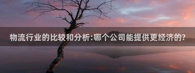 28圈圈：物流行业的比较和分析:哪个