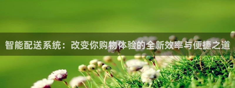 28圈在线预测官网:智能配送系统:改