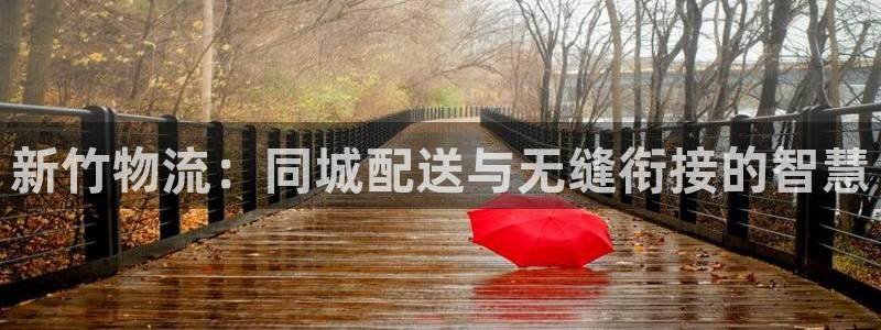 28圈那个才是充值账号