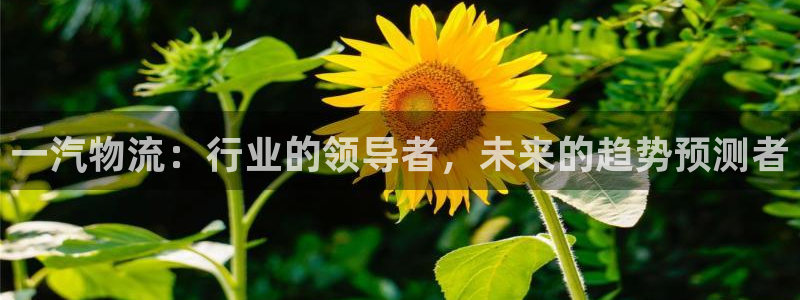 28圈初始密码在哪里修改的