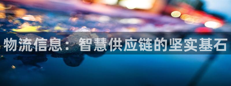 28圈ccm游戏：物流信息：智慧供应