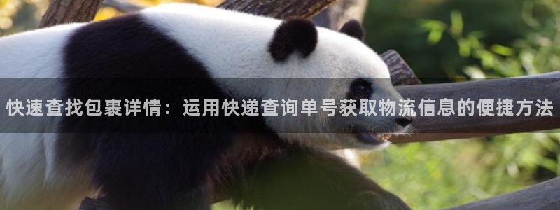 28圈赌博被抓：快速查找包裹详情：运