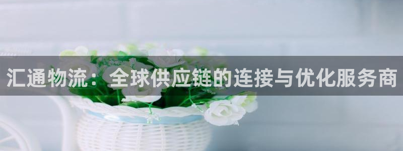 28圈加拿大是什么：汇通物流：全球供