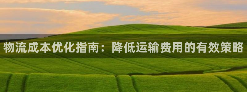 28圈取保：物流成本优化指南：降低运