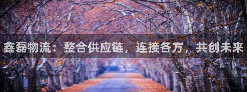 28圈注册二维码：鑫磊物流：整合供应