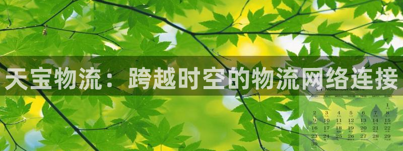 28圈注册网站APP：天宝物流：跨越