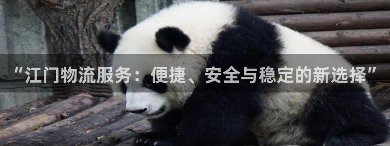 28圈推广链接是多少：“江门物流服务