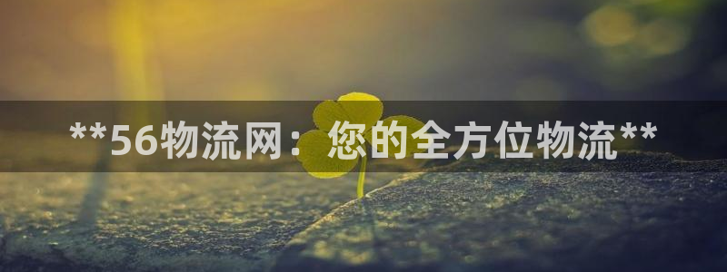 28圈预测加拿大师准：**56物流网