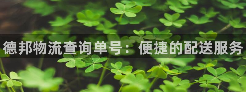 28圈PG电子游戏：德邦物流查询单号