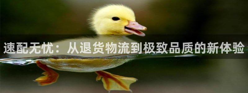 28圈登录网:速配无忧:从退货物流到