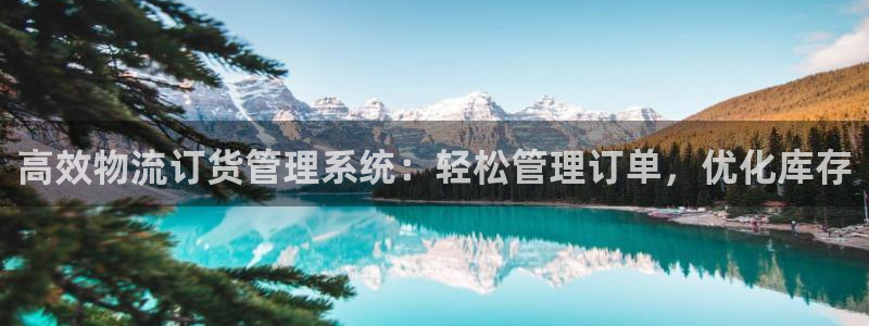 28圈登录流程:高效物流订货管理系统