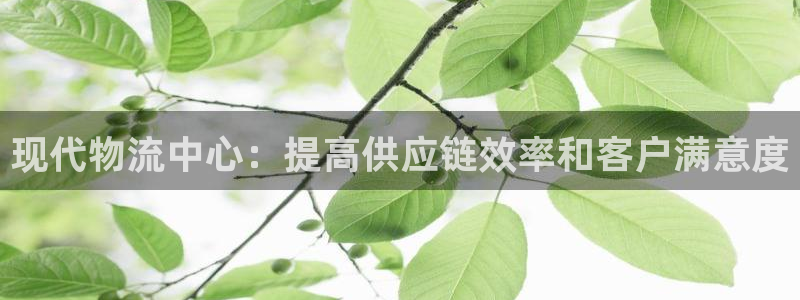28圈是什么软件：现代物流中心：提高