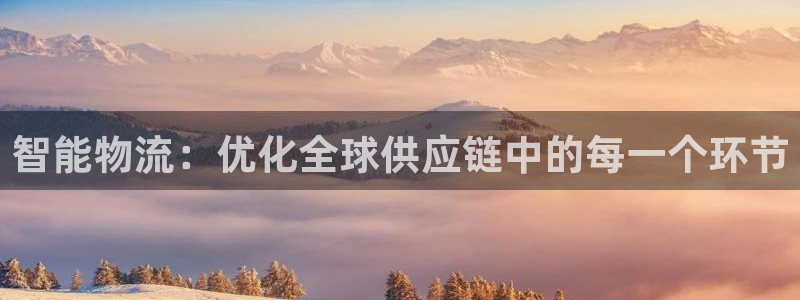 28圈下载不了：智能物流：优化全球供