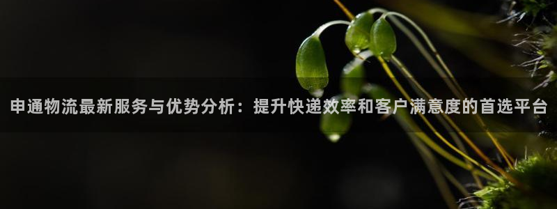 28圈和南宫28什么关系：申通物流最