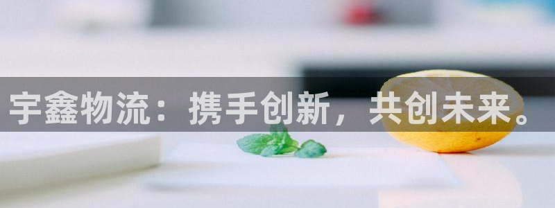 28圈官网网站：宇鑫物流：携手创新，