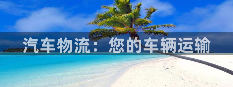 28圈模拟器下载：汽车物流：您的车辆