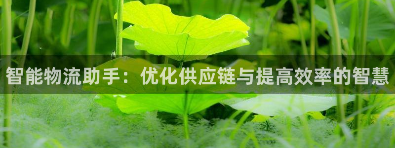 28圈娱乐官网网页