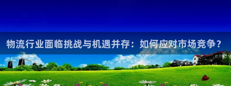28圈pg麻将胡了：物流行业面临挑战